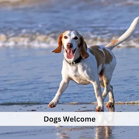 Vanagupes Ramybes Oaze Palanga