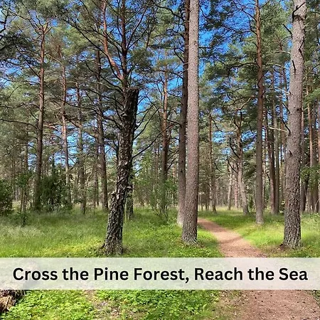 Lejlighed Vanagupes Ramybes Oaze Palanga