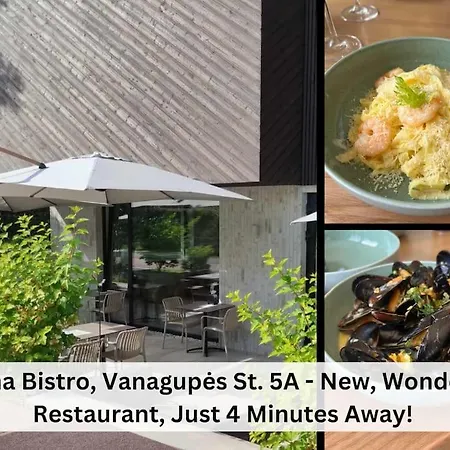 Vanagupes Ramybes Oaze Palanga