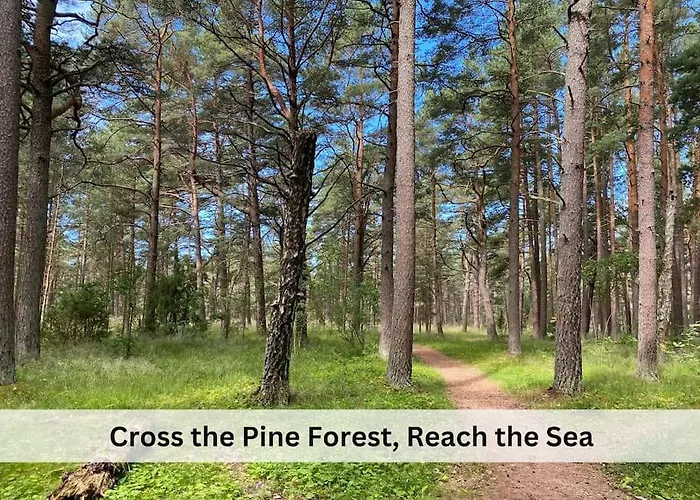 Apartmán Vanagupes Ramybes Oaze Palanga